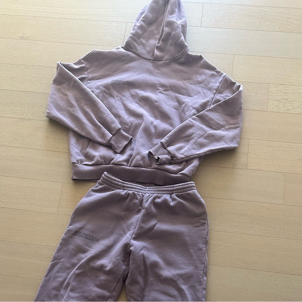 Pangaia Purple Sweatshirt and Joggers Set